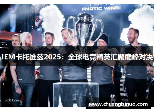 IEM卡托维兹2025：全球电竞精英汇聚巅峰对决