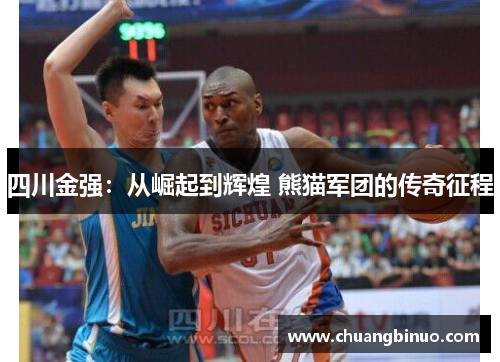 四川金强：从崛起到辉煌 熊猫军团的传奇征程